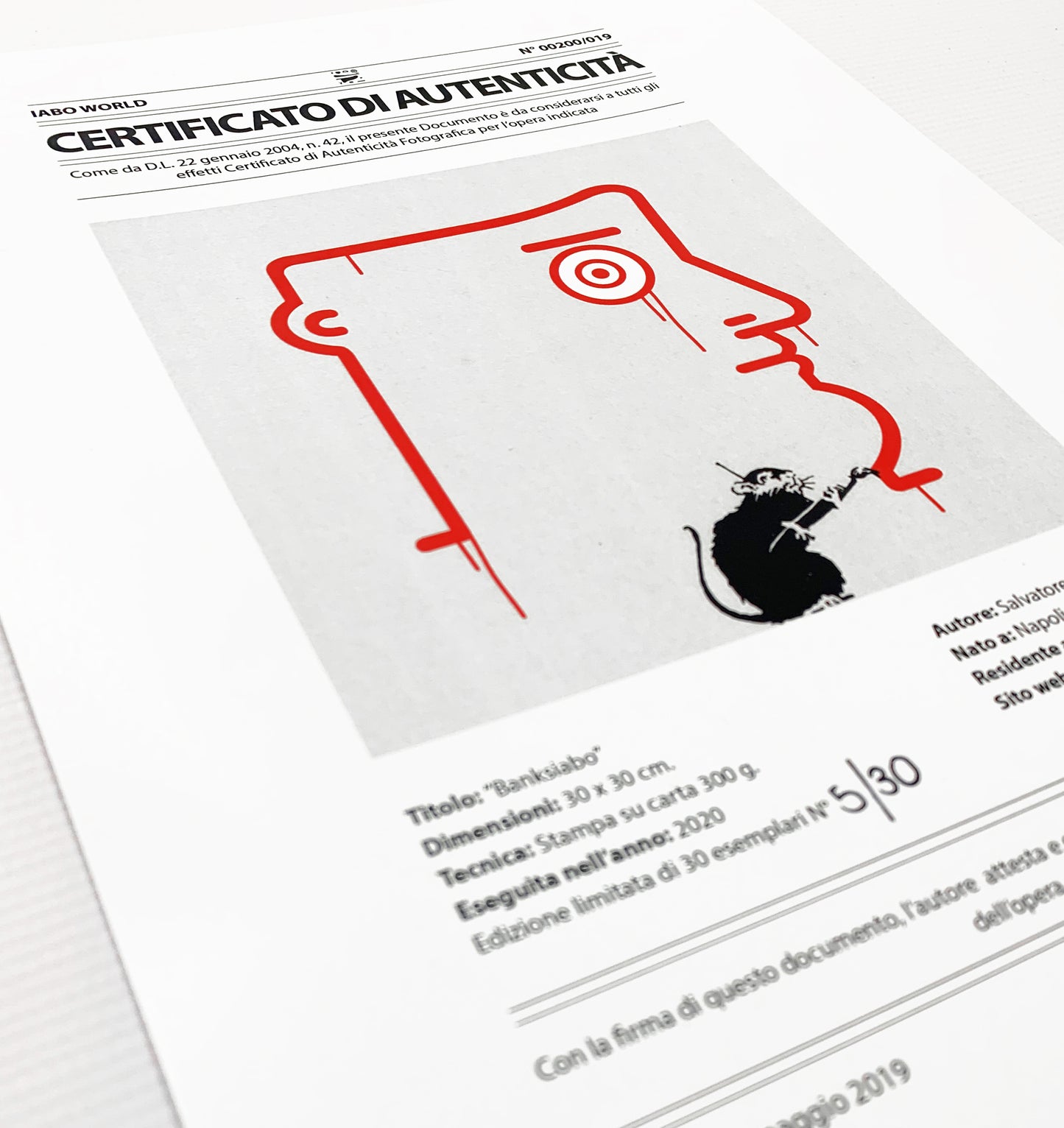 "Banksiabo" Available in AP edition of 10 pieces
